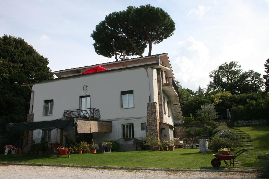 Bed and Breakfast Patrian Grottaferrata Exterior foto